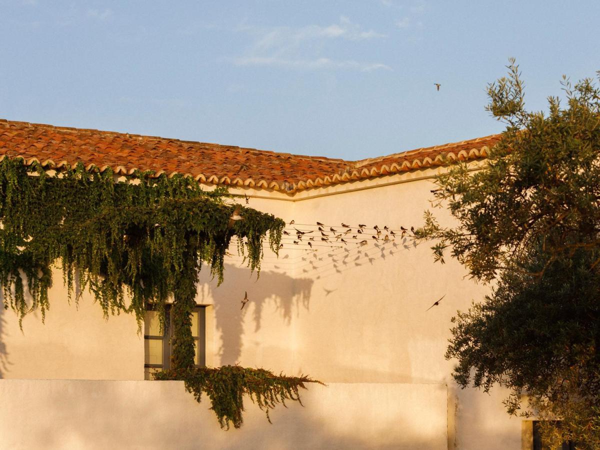 São Lourenço do Barrocal Reguengos de Reguengos de Monsaraz Exterior foto