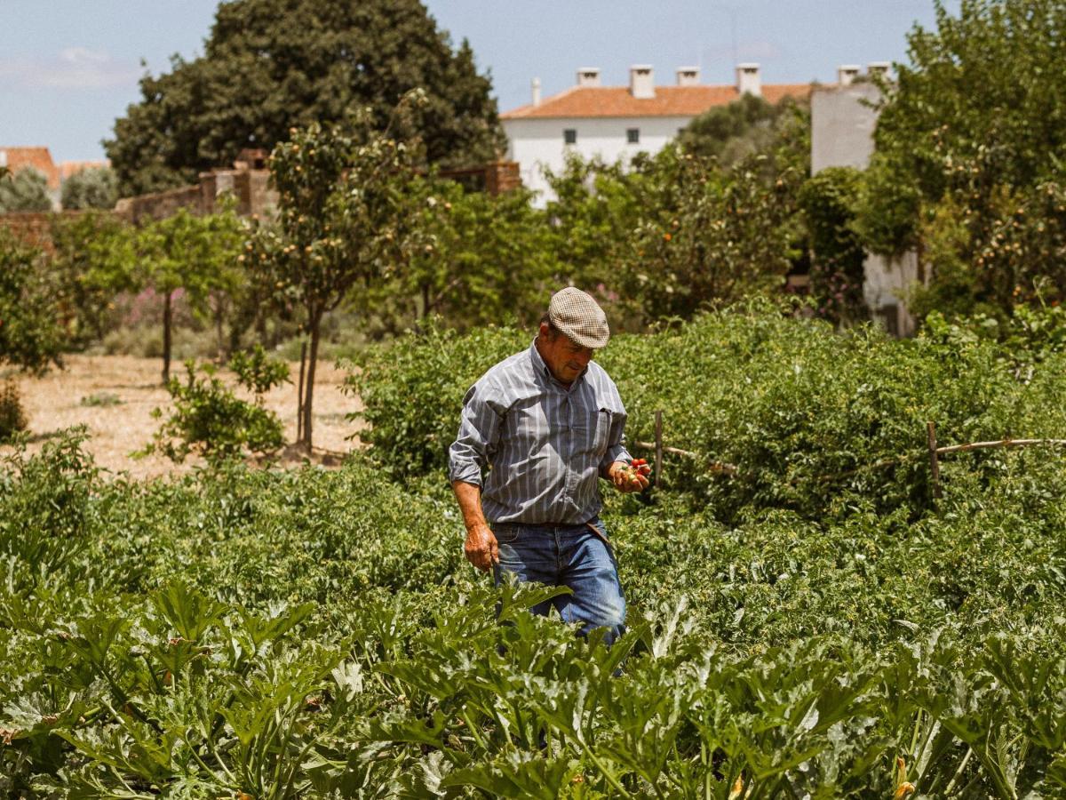 São Lourenço do Barrocal Reguengos de Reguengos de Monsaraz Exterior foto