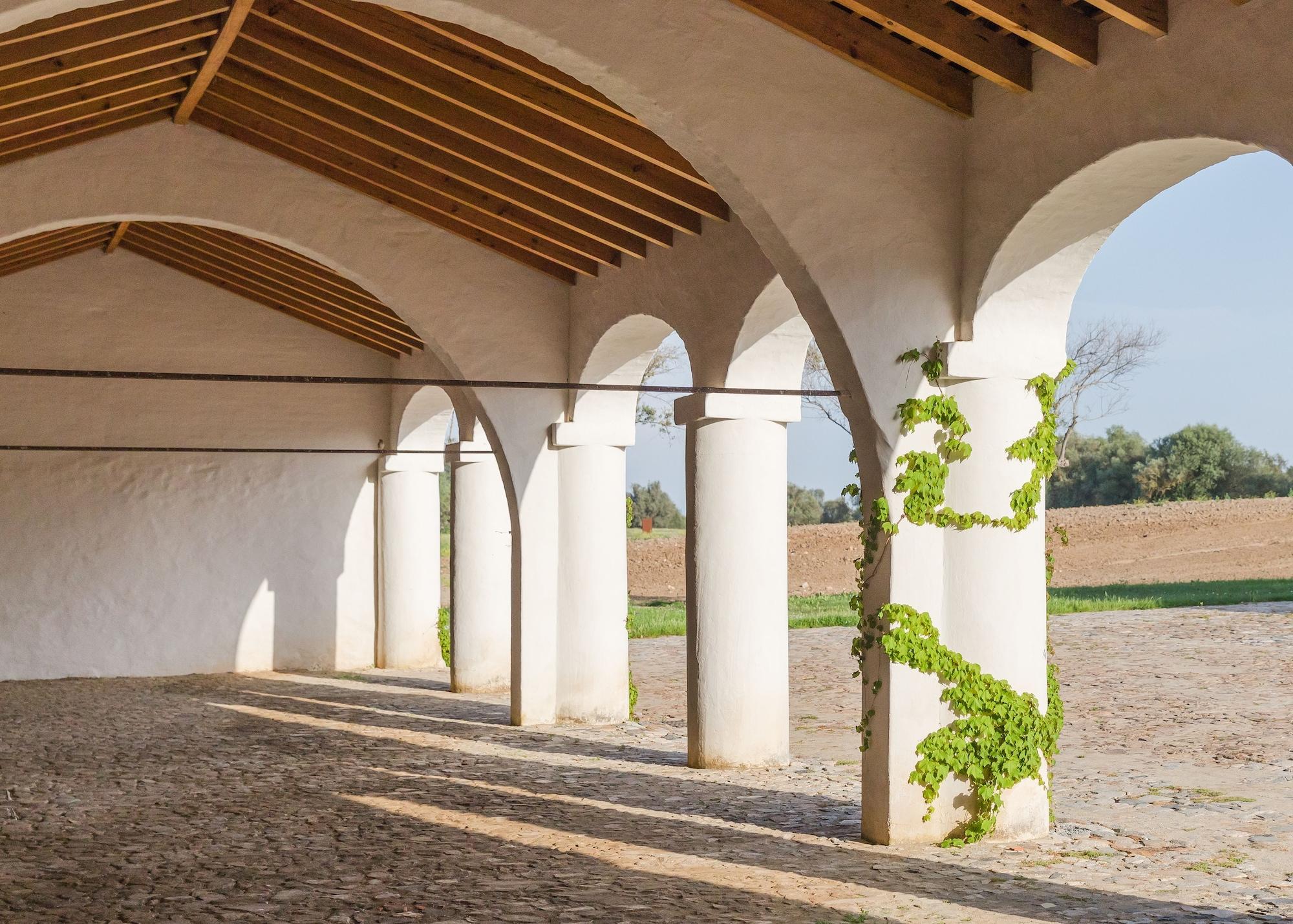 São Lourenço do Barrocal Reguengos de Reguengos de Monsaraz Exterior foto