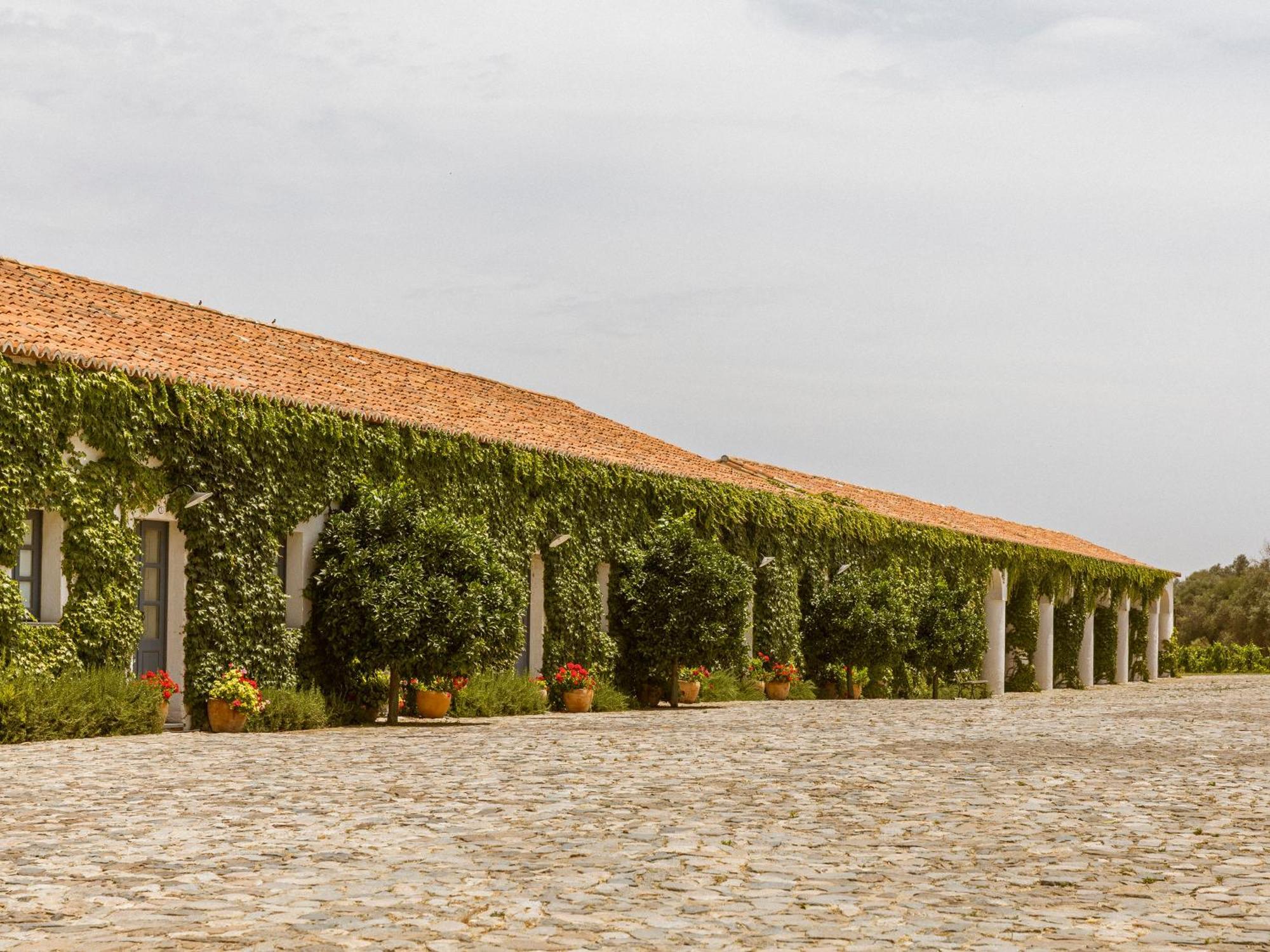 São Lourenço do Barrocal Reguengos de Reguengos de Monsaraz Quarto foto
